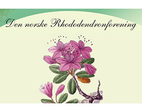 挪威杜鹃花协会 Den norske Rhododendronforening