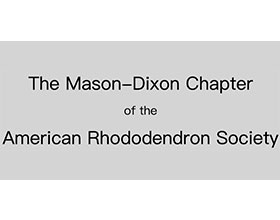 美国杜鹃花协会的梅森-狄克逊分会 The Mason-Dixon Chapter of the American Rhododendron Society