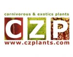 捷克食虫植物 CARNIVOROUS PLANTS