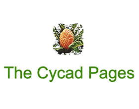 苏铁的网页 The Cycad Pages