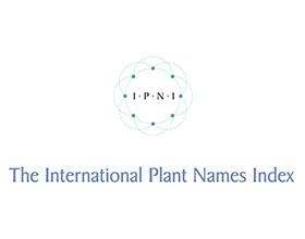 国际植物名称索引 International Plant Names Index (IPNI)