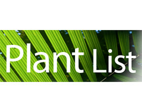 植物清单 The Plant List