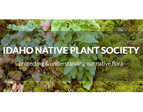 爱达荷州原生植物协会 Idaho Native Plant Society