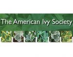 美国常春藤协会 The American Ivy Society