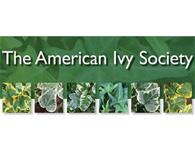 美国常春藤协会 The American Ivy Society