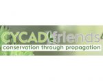 苏铁之友 Cycadfriends