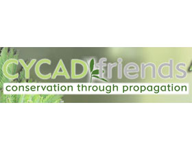 苏铁之友 Cycadfriends