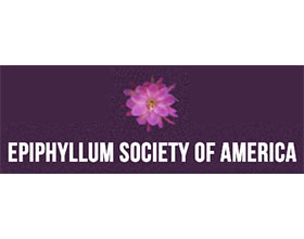 美国昙花协会 Epiphyllum Society of America