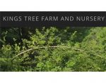 美国国王林场和苗圃 Kings Tree Farm and Nursery