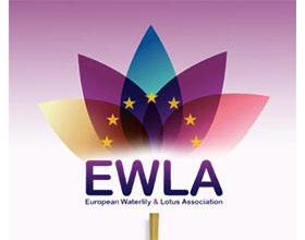 欧洲睡莲和荷花协会 European Water Lily and Lotus Association