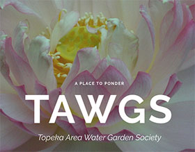 美国托皮卡地区水花园协会 Topeka Area Water Garden Society
