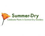夏季干燥植物和花园项目 Summer-Dry Plants and Gardens