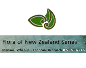 新西兰植物区系 Flora of New Zealand Volumes