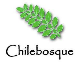 智利的植物 ChileBosque