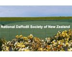 新西兰国家水仙花协会 National Daffodil Society of New Zealand (NDSNZ)