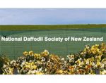 新西兰国家水仙花协会 National Daffodil Society of New Zealand (NDSNZ)