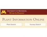 美国明尼苏达大学植物信息在线 Plant Information Online