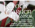 苏格兰科沃克花园植物 Kevock Garden Plants