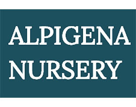 荷兰高山植物苗圃 ALPIGENA NURSERY