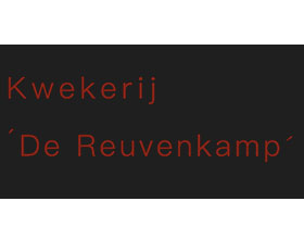 荷兰岩石园植物苗圃 De Reuvenkamp