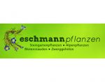 瑞士 J. Eschmann 高山植物苗圃
