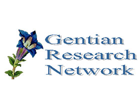 龙胆研究网络 Gentian Research Network