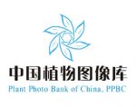 中国植物图像库 Plant Photo Bank of China（PPBC）