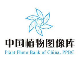 中国植物图像库 Plant Photo Bank of China（PPBC）