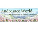 报春花科点地梅属世界 Androsace World