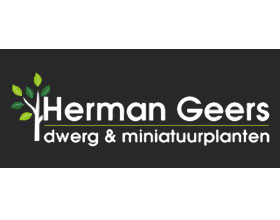 荷兰Herman Geers苗圃