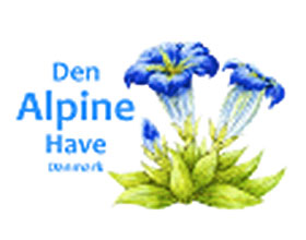 丹麦高山植物协会 Den Alpine Have - Denmark