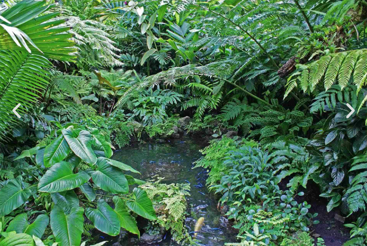 美国仙童热带植物园