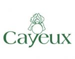 法国CAYEUX鸢尾 CAYEUX IRIS