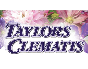 英格兰泰勒斯铁线莲苗圃 Taylors Clematis Nursery