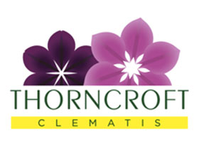 英国Thorncroft铁线莲苗圃