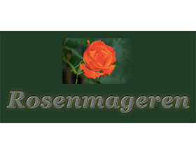 丹麦Rosemary月季（玫瑰）苗圃
