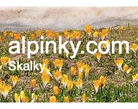 捷克高山园艺 alpinky.com