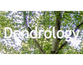 芬兰树木协会 Dendrology Society DendrologiskaSällskapet