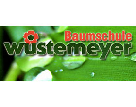 德国Wüstemeyer苗圃 Baumschule Wüstemeyer