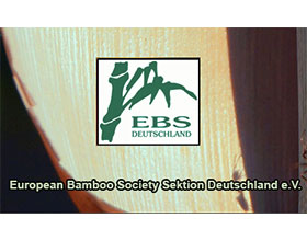 欧洲竹子协会德国分会 European Bamboo Society Sektion Deutschland e.V.