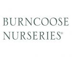 英国伯恩库斯苗圃 Burncoose Nurseries