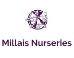英国米拉莱斯苗圃 Millais Nurseries