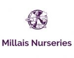 英国米拉莱斯苗圃 Millais Nurseries