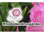 瑞典杜鹃花园 Hästarna på Rhododendrongården