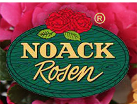 德国玫瑰苗圃 NOACK ROSEN