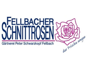 德国Fellbacher切花月季