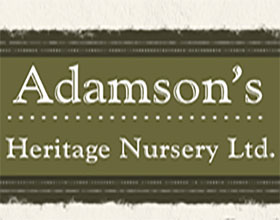 亚当森传统苗圃公司 Adamson’s Heritage Nursery Ltd