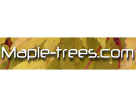 枫树网 Maple-Trees.com