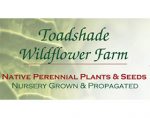 美国蟾蜍阴影野花苗圃 Toadshade Wildflower Farm