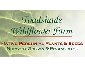 美国蟾蜍阴影野花苗圃 Toadshade Wildflower Farm